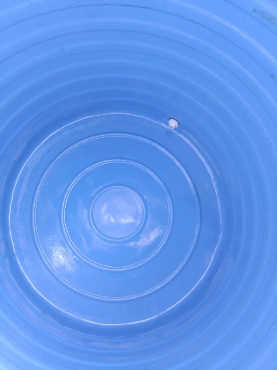 Clean interior of blue water tank